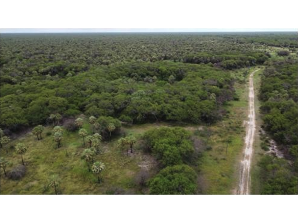 1.139 has, Campo para ganadería en Bajo Chaco, Paraguay - 6
