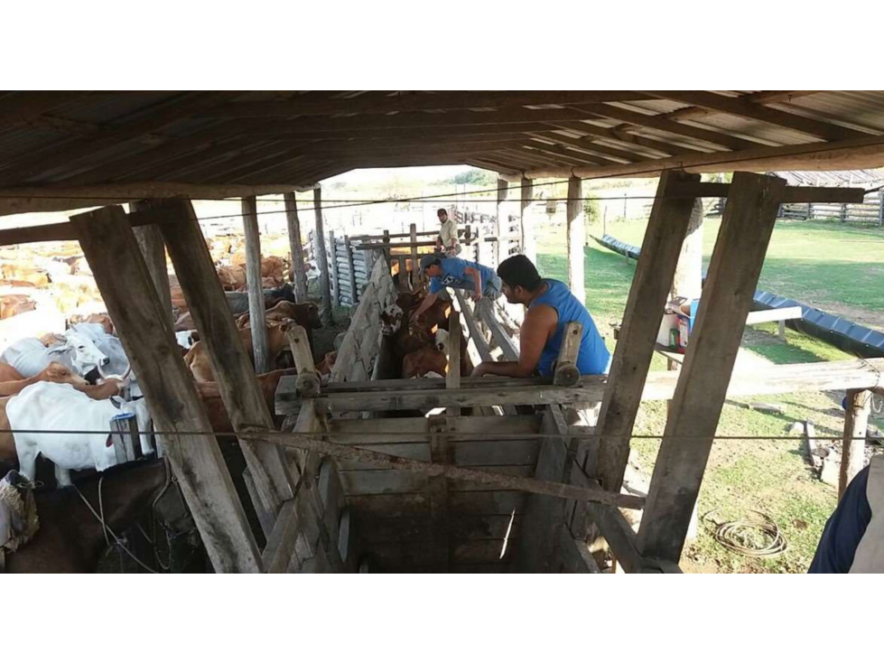 2800 has. campo ganadero funcionando, vendemos en Bajo Chaco - 6