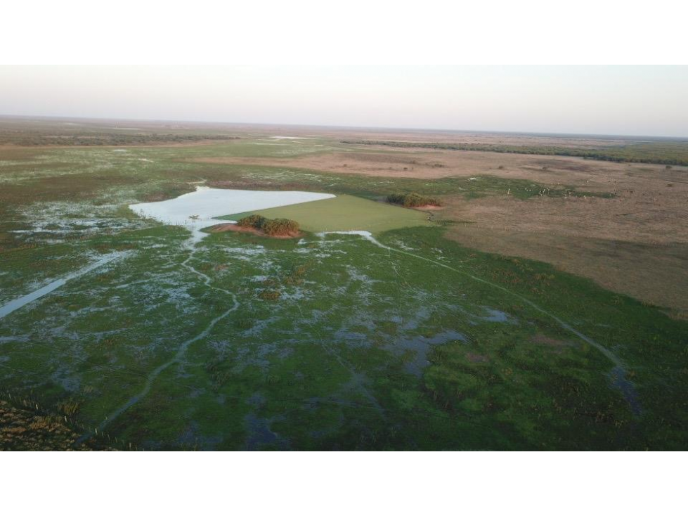 921 ha en venta o arrendamiento, Bajo Chaco - 2