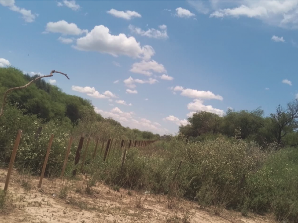 8.141 hectareas, MONTE EN ZONA DE GENERAL DIAZ. - 3
