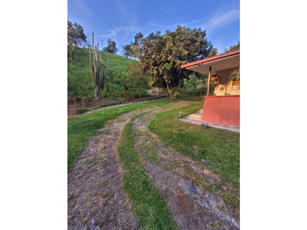 VENTA FINCA GANADERA SECTOR LA MANUELA — foto 3