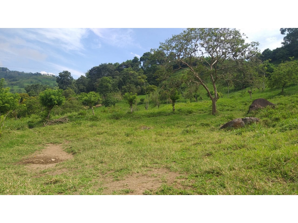 VENTA FINCA GANADERA SECTOR LA MANUELA — foto 5