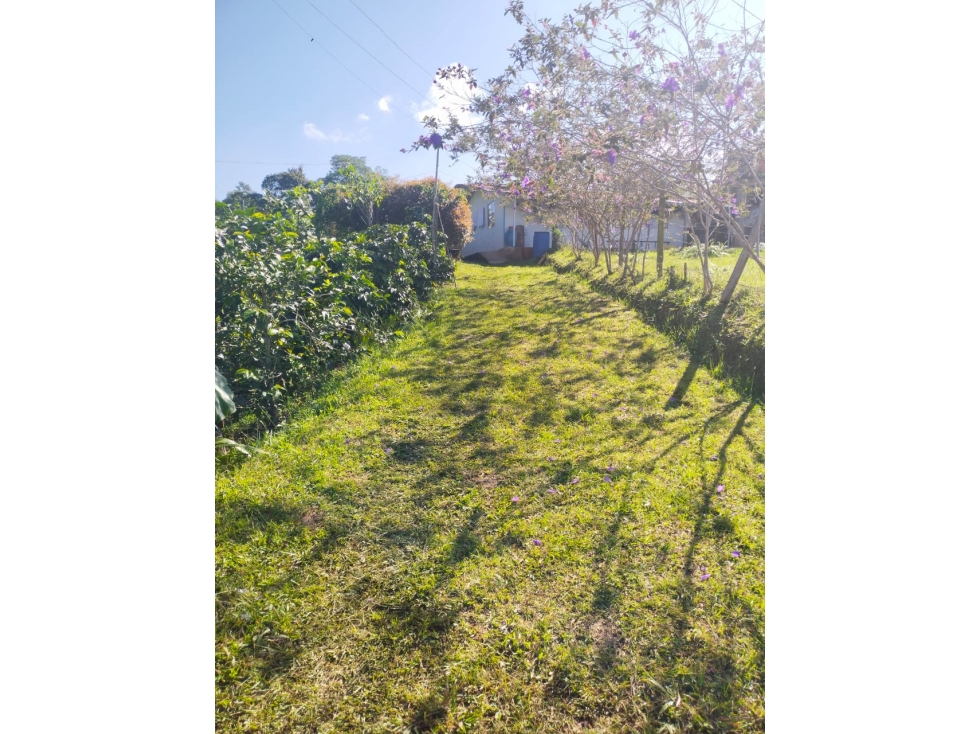 VENDO FINCA EN SILVANIA - 3
