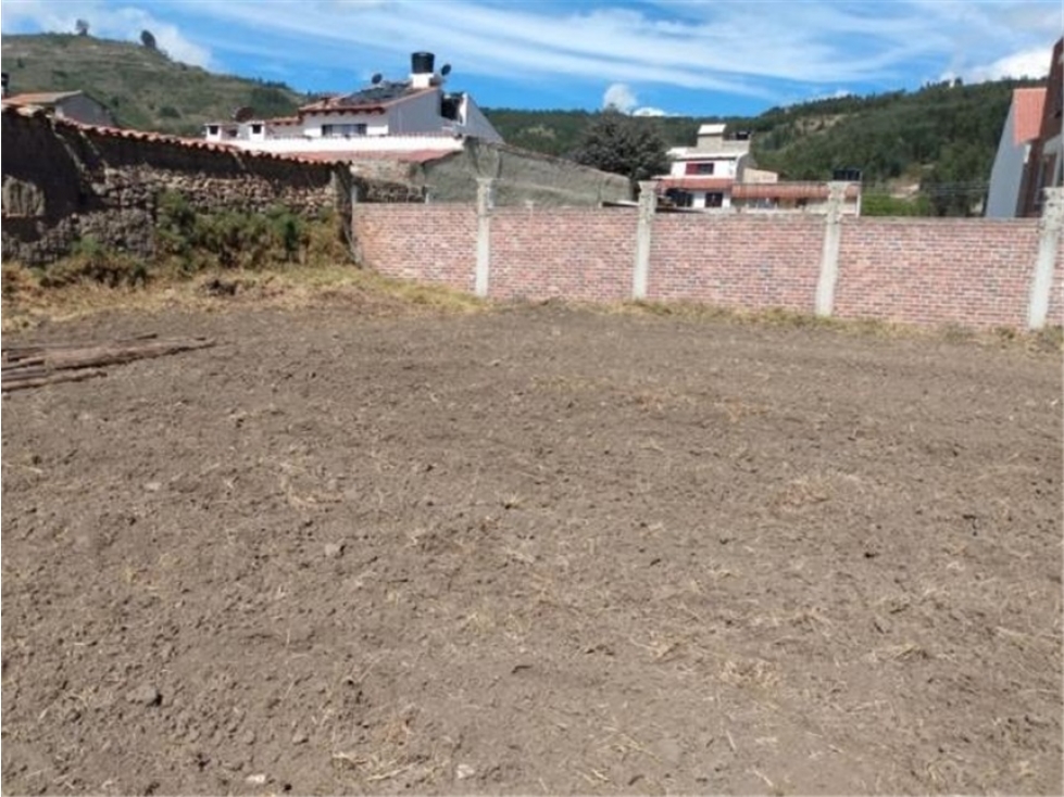 LOTE TIBASOSA - 2