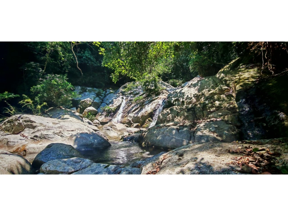 VENTA LOTE TROPICAL SIERRA NEVADA DE SANTA MARTA