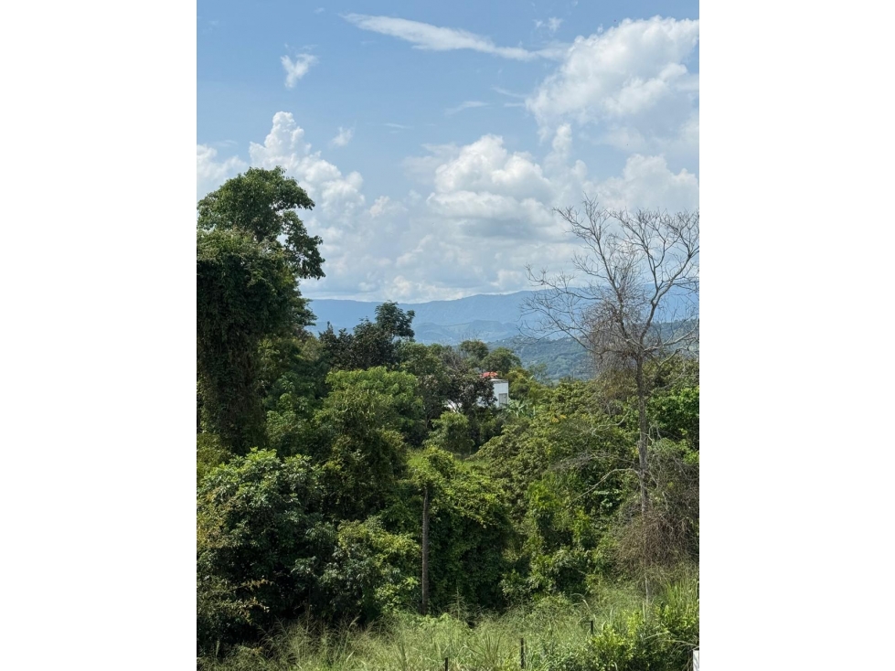 VENTA FINCA EN MESITAS - 4