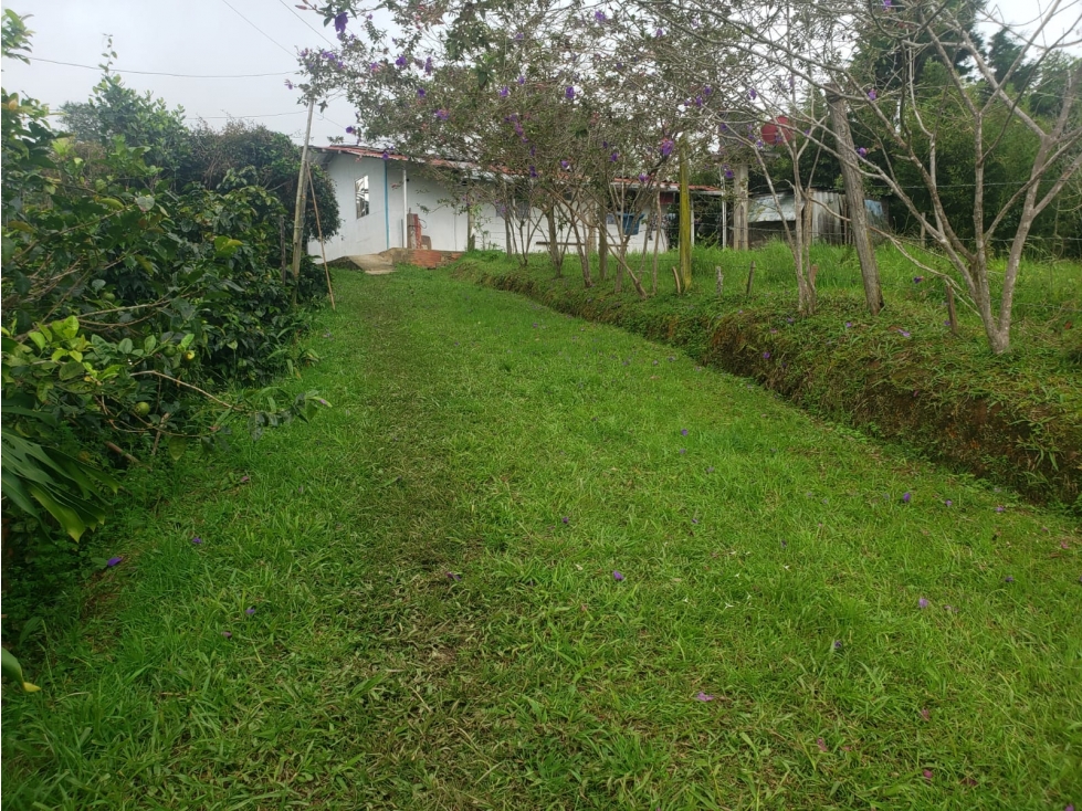 VENDO FINCA EN SILVANIA - 2