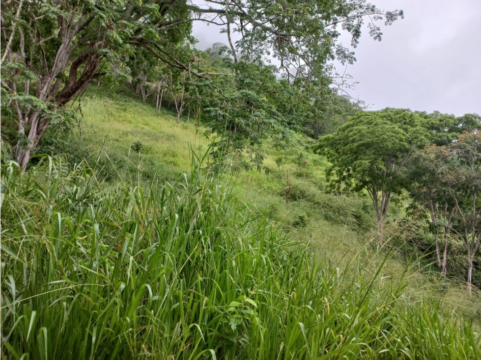 SE VENDE FINCA EN CHAGUANI CUNDINAMARCA - 1