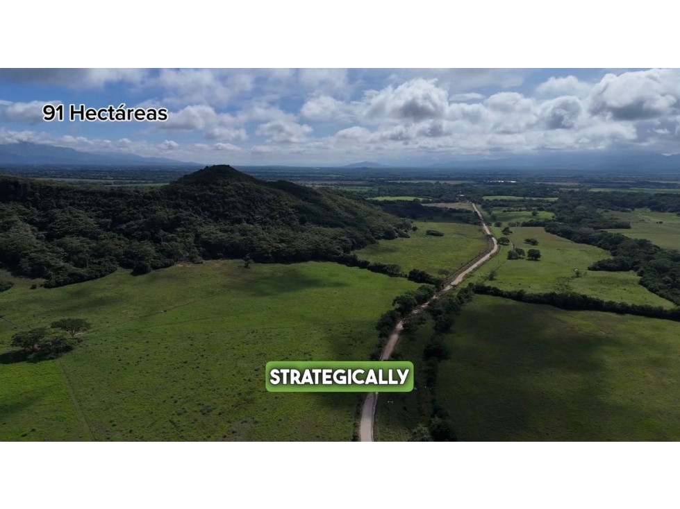 SE VENDE FINCA EN IBAGUE TOLIMA - 3