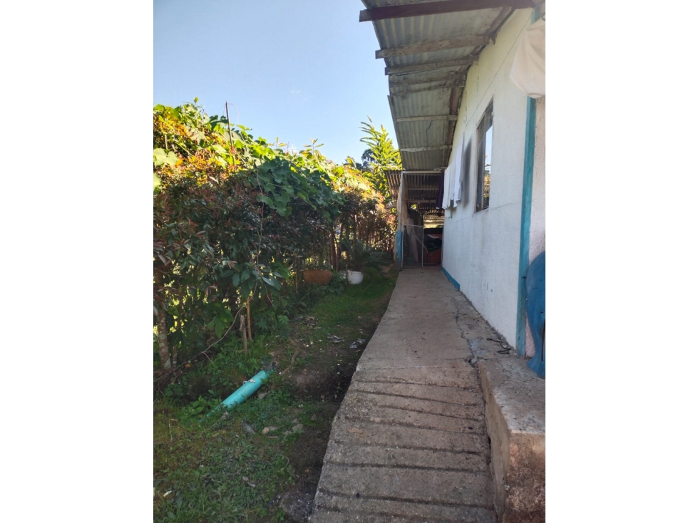 VENDO FINCA EN SILVANIA - 6