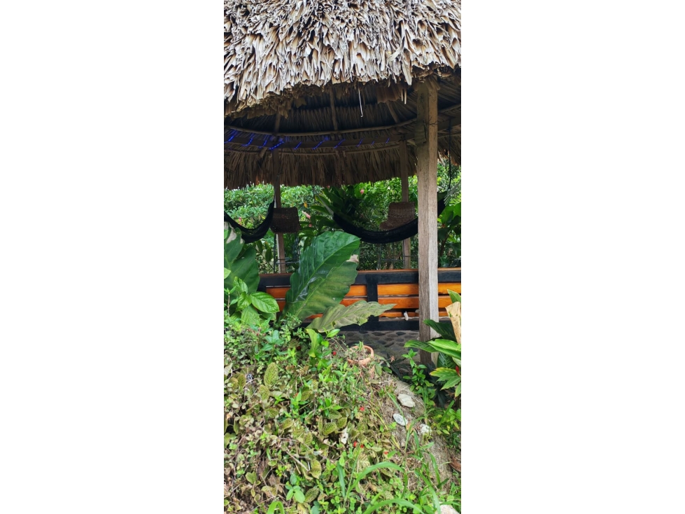 Finca en Venta cerca al Parque Tayrona | 4 Hectáreas — foto 6