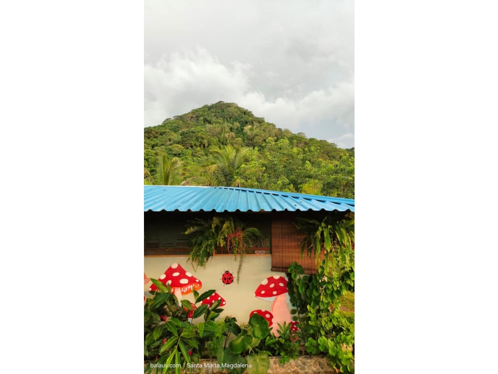 Finca en Venta cerca al Parque Tayrona | 4 Hectáreas — foto 5
