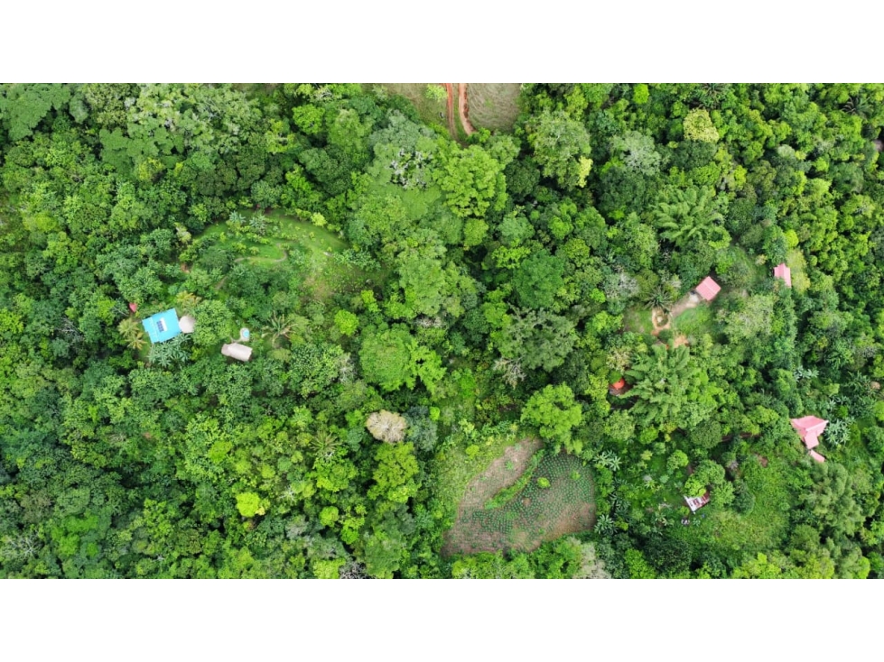Finca en Venta cerca al Parque Tayrona | 4 Hectáreas — foto 3