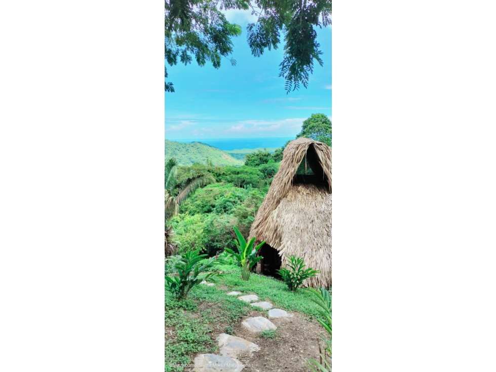 Finca en Venta cerca al Parque Tayrona | 4 Hectáreas