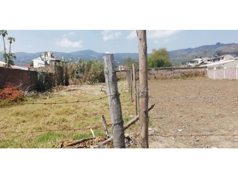 LOTE TIBASOSA - 6
