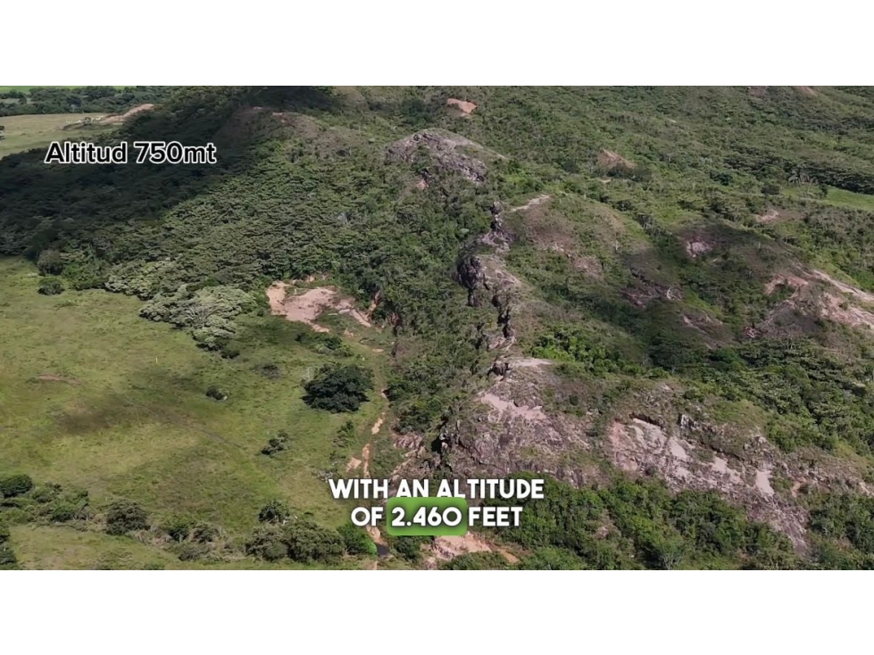 SE VENDE FINCA EN IBAGUE TOLIMA - 4