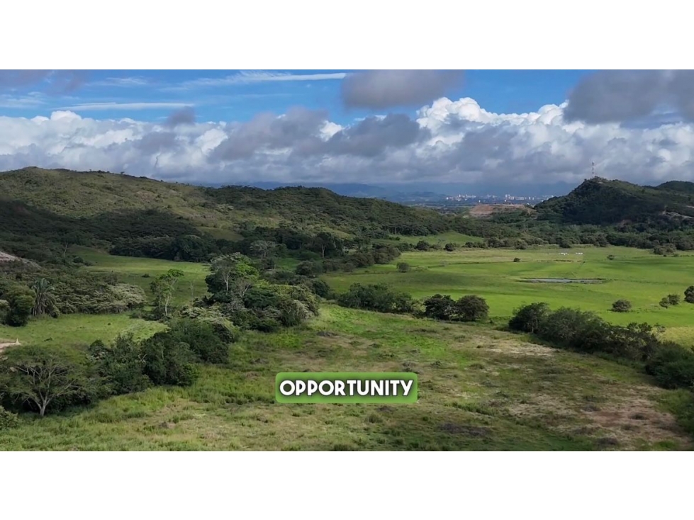 SE VENDE FINCA EN IBAGUE TOLIMA - 5