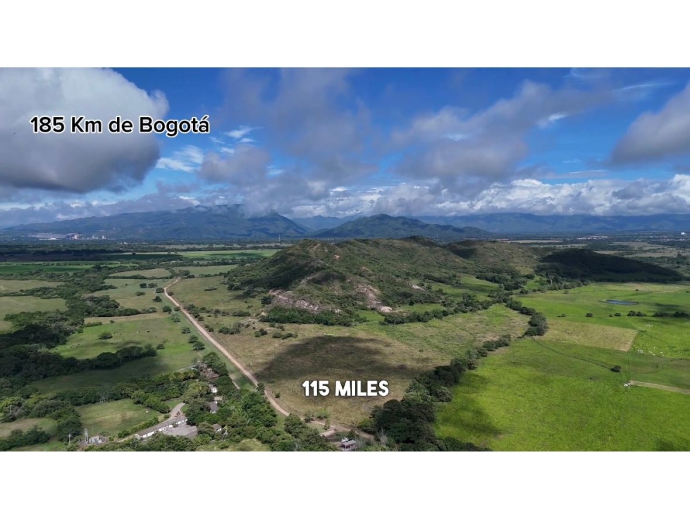 SE VENDE FINCA EN IBAGUE TOLIMA - 6