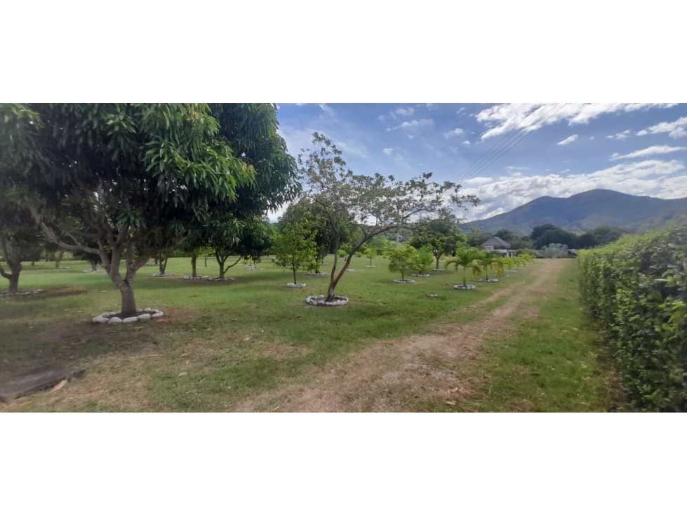 EN VENTA FINCA DE RECREO NATAGAIMA TOLIMA COLOMBIA - 2