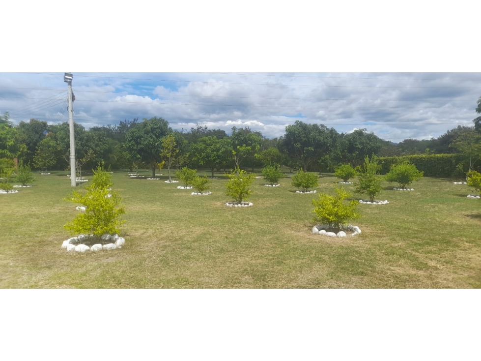 EN VENTA FINCA DE RECREO NATAGAIMA TOLIMA COLOMBIA - 4