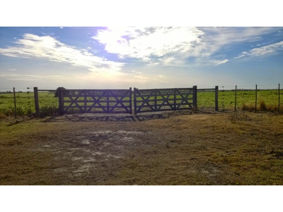 Se Vende Campo de 25 has, zona La Paz - 4