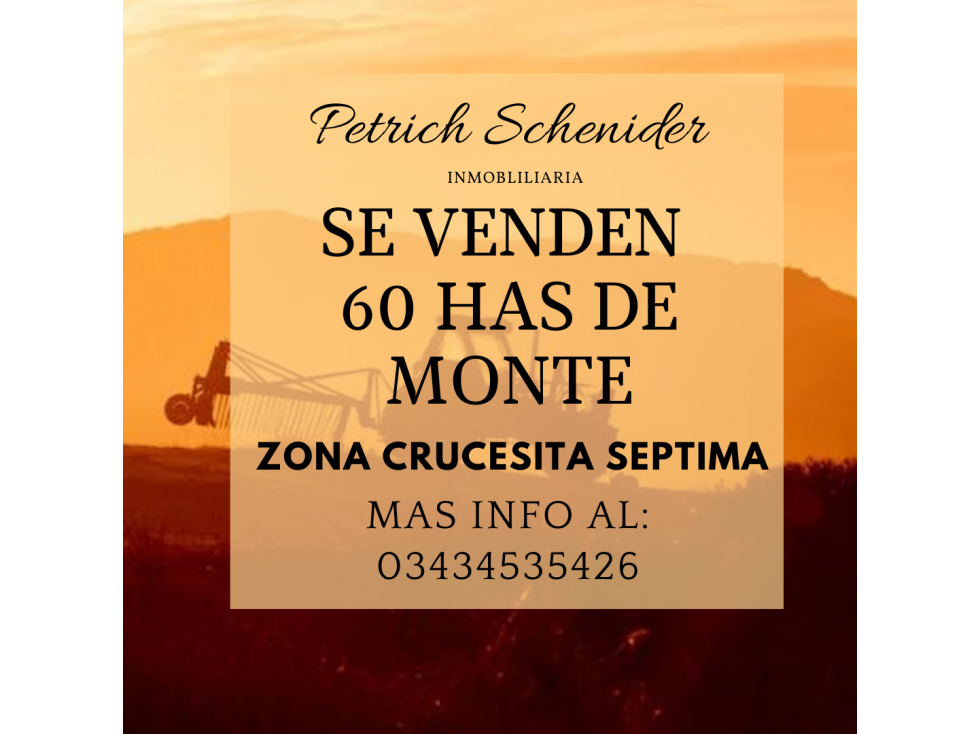 Se vende 60 has de Monte zona Crucecita Septima - 1