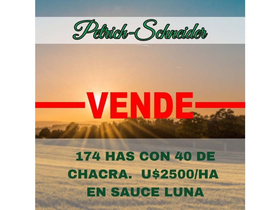 Se vende campo de 174 has con 40 de chacra en Sauce Luna - 1