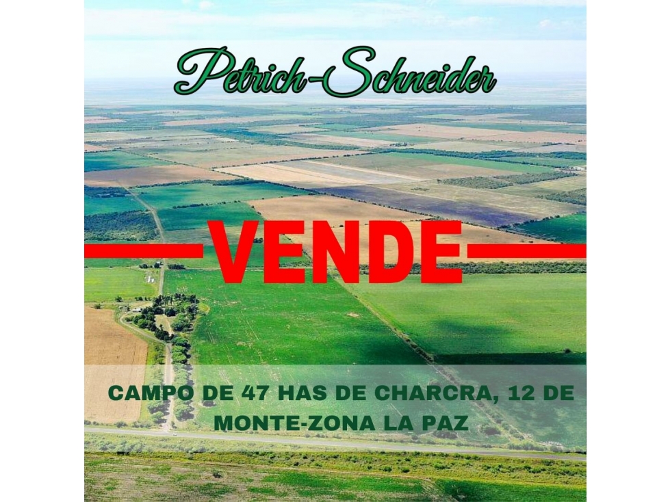 Se vende campo con 47 has de chacra y 12 has de monte en zona La Paz - 1