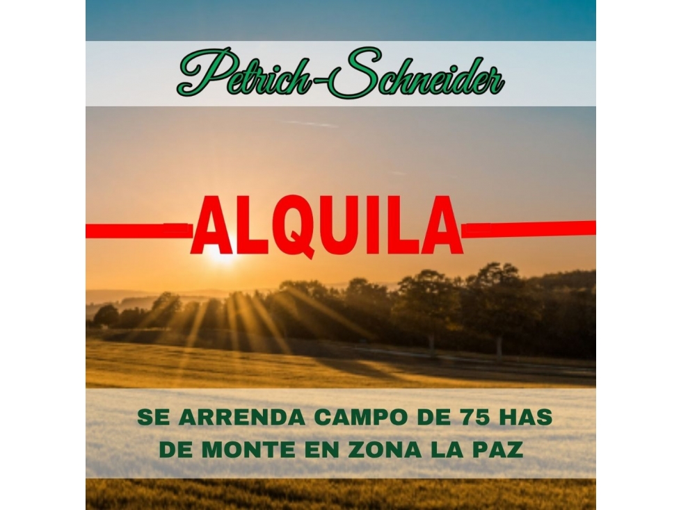 Se arrendan 122 has de monte en zona La Paz - 1