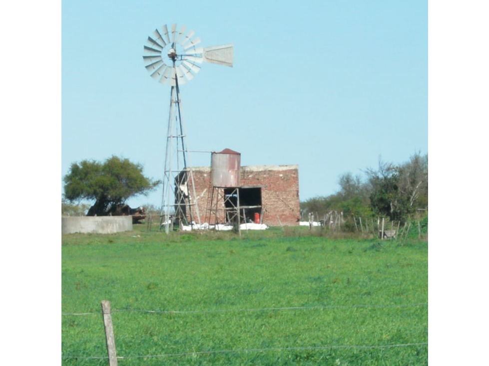 Se vende campo en la paz, 50 has con 35 de chacra - 2
