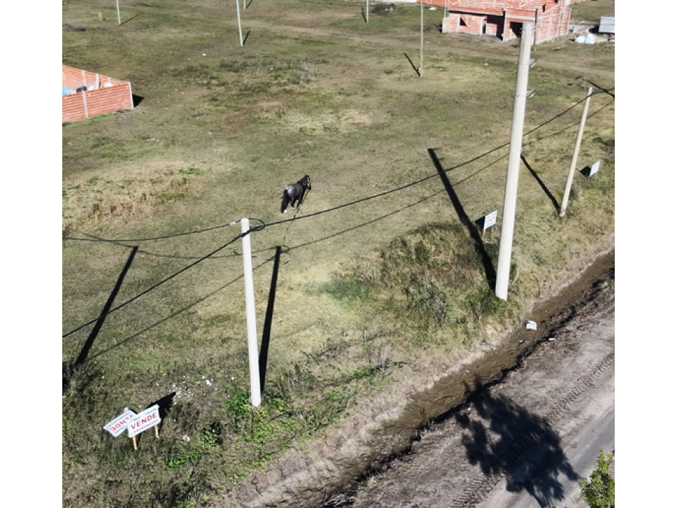 Se venden lotes en María Grande calle Solari a 15500 u$d c/u - 3