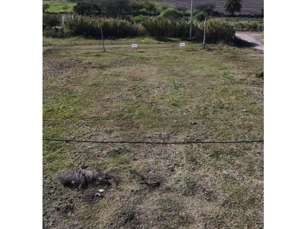 Se venden lotes en Maria Grande - 3