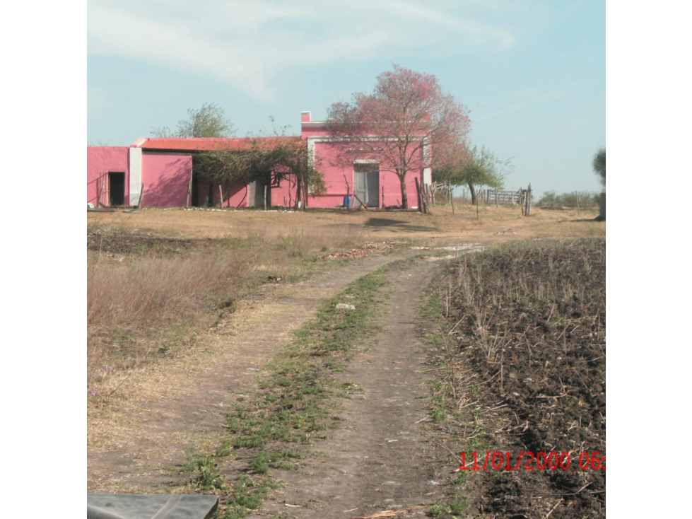 Se vende campo en la paz, 50 has con 35 de chacra - 3