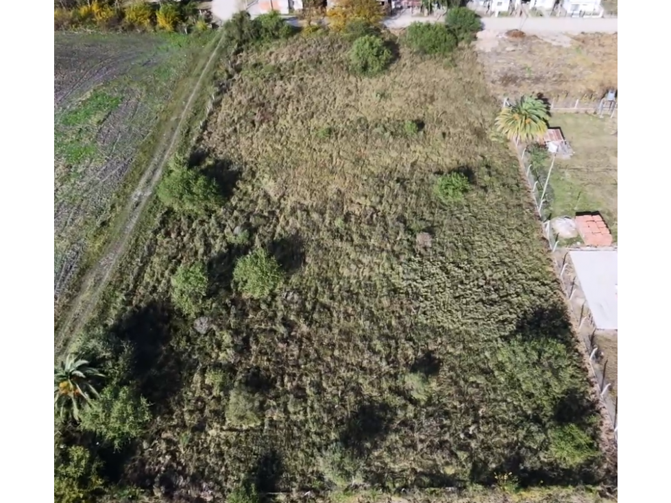 Se venden 0.5 hectareas en María Grande - 1