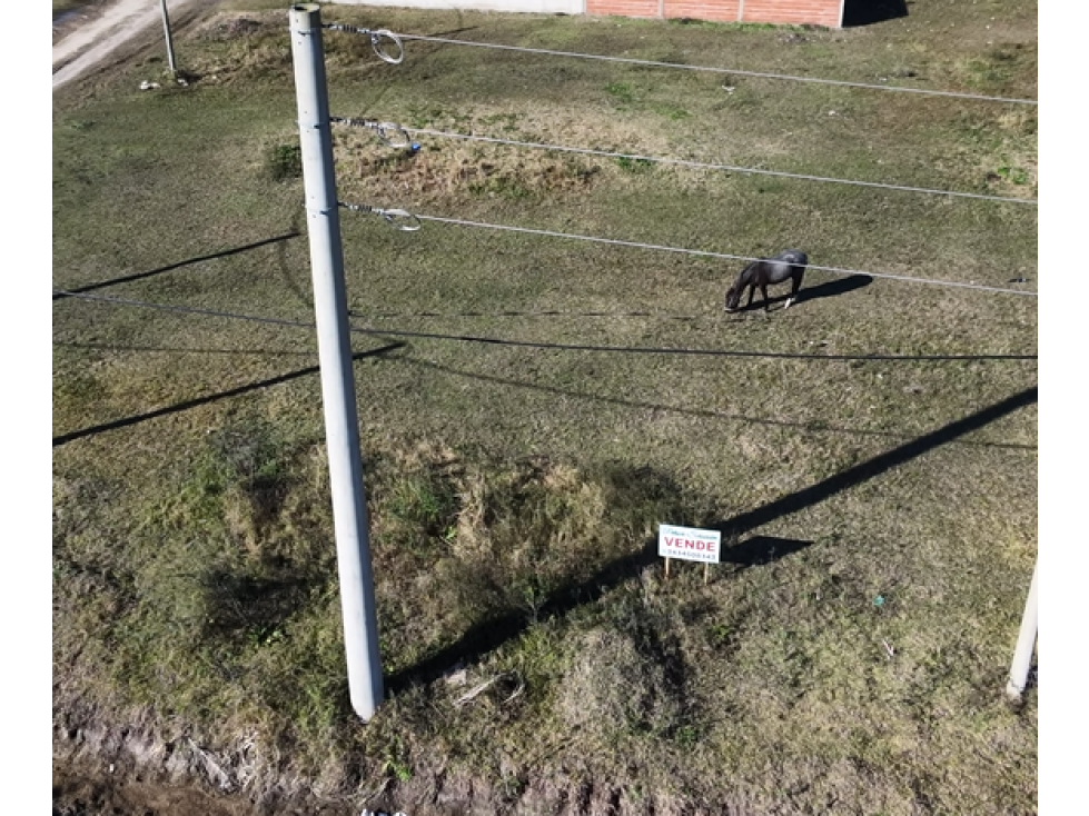 Se venden lotes en María Grande calle Solari a 15500 u$d c/u - 4