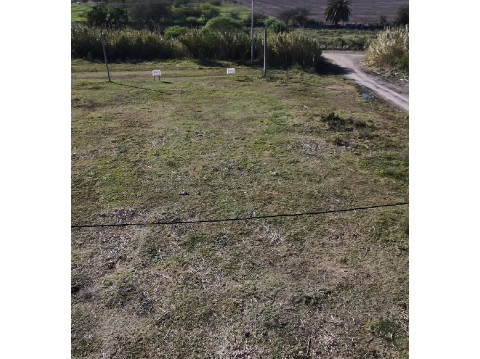 Se venden lotes en Maria Grande - 4