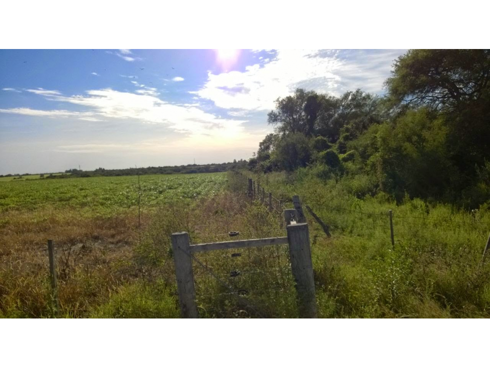 Se Vende Campo de 25 has, zona La Paz - 5