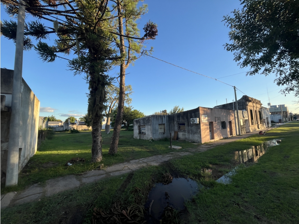 Se vende Terreno en María Grande calle Artigas - 1