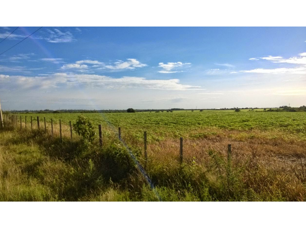 Se Vende Campo de 25 has, zona La Paz - 6