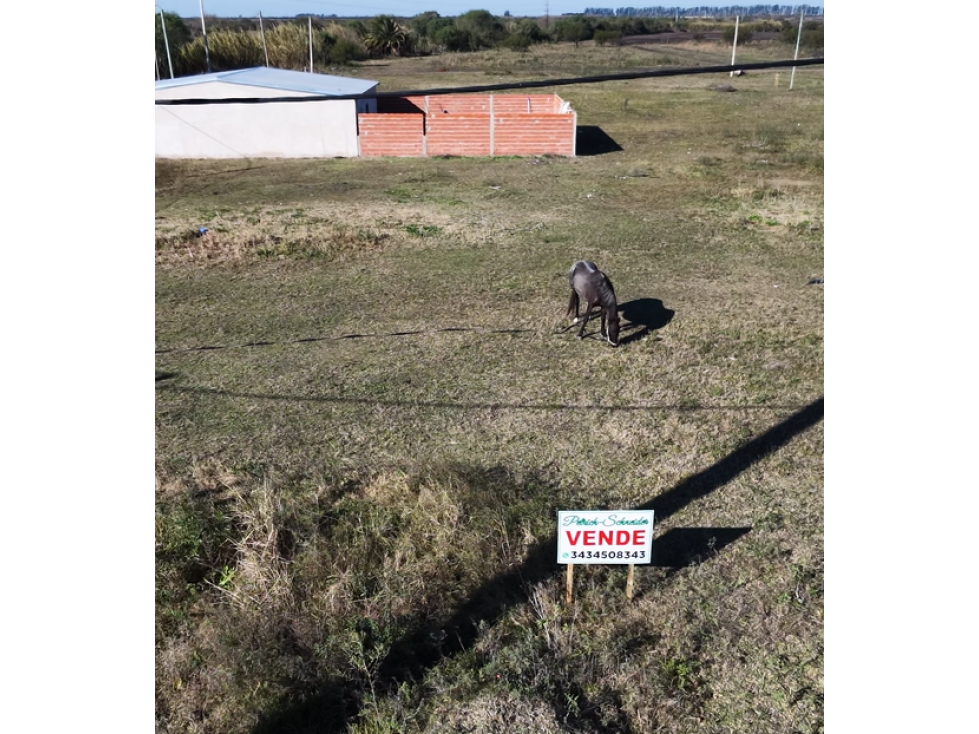 Se venden lotes en María Grande calle Solari a 15500 u$d c/u - 6