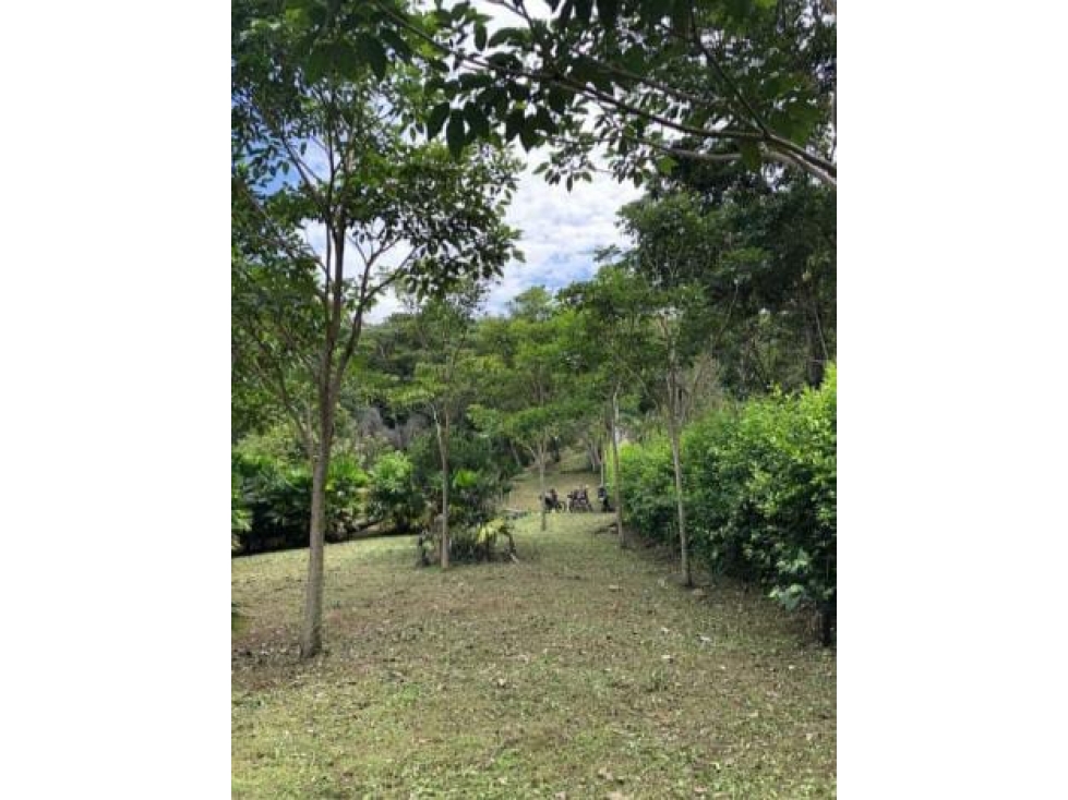 ACSI 798 Lote en venta Nimaima, Cundinamarca - 2