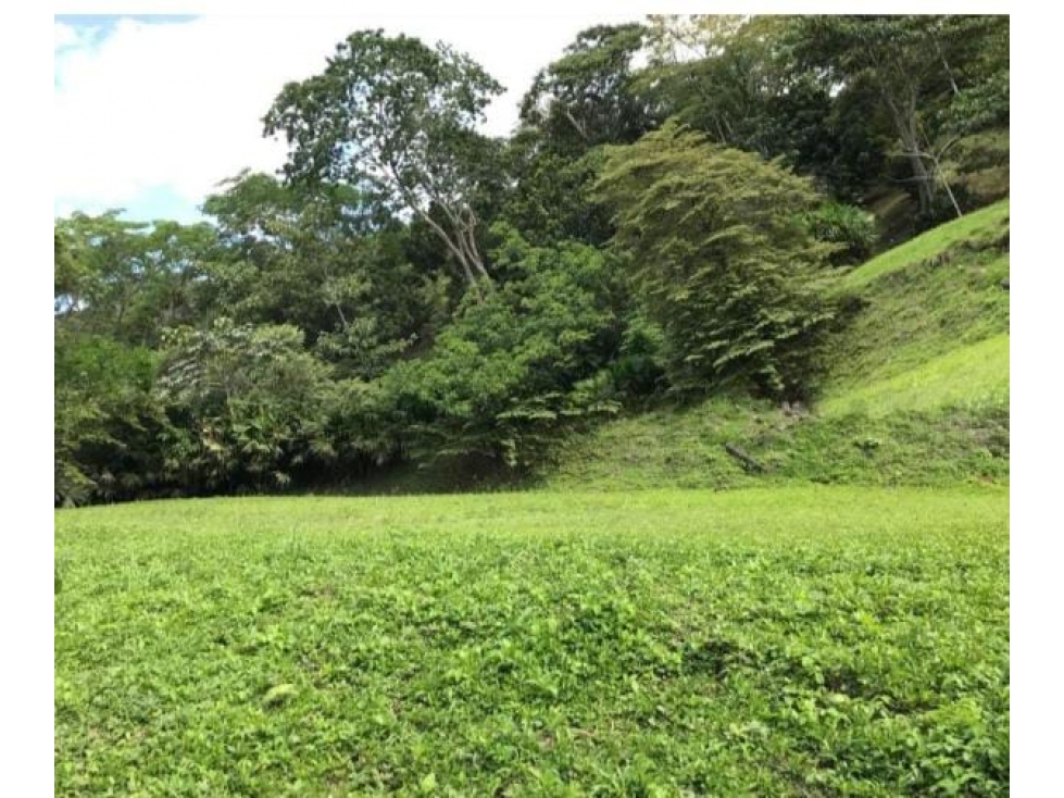 ACSI 798 Lote en venta Nimaima, Cundinamarca - 4