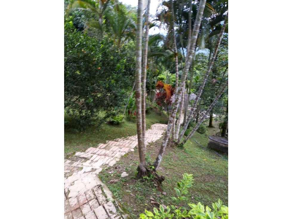 ACSI 1280. Finca en Venta en La Vega — foto 4