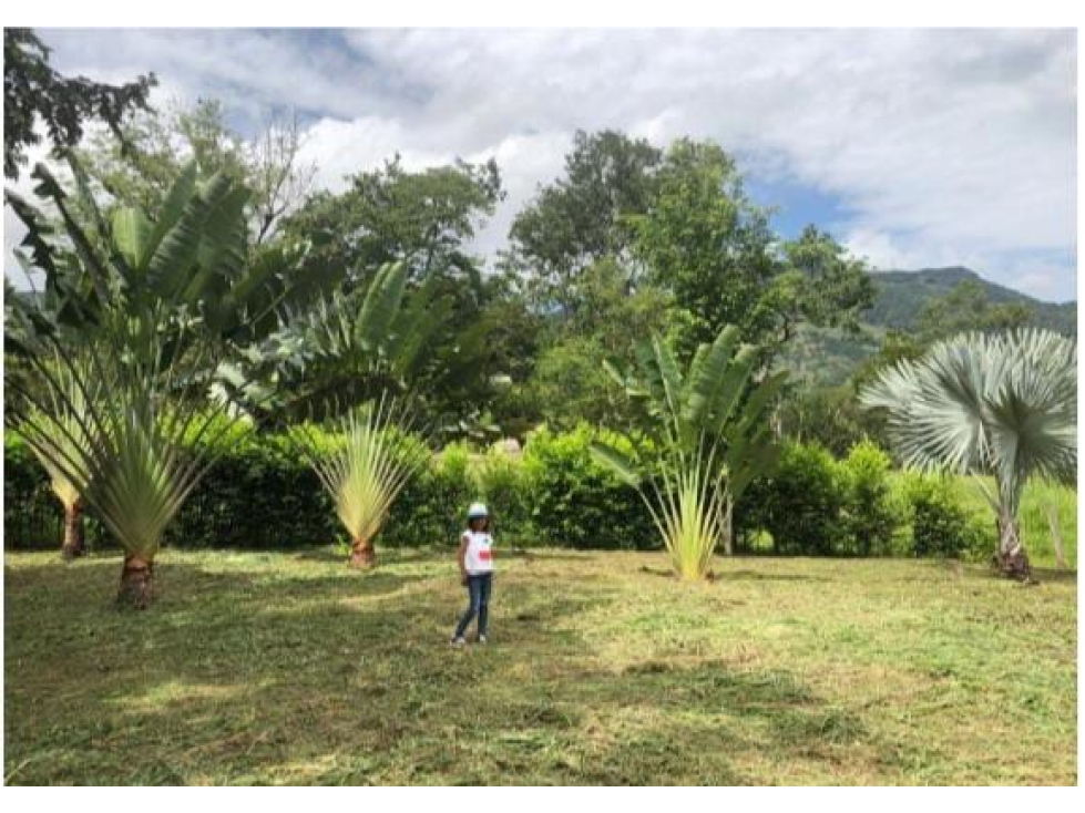 ACSI 798 Lote en venta Nimaima, Cundinamarca - 5