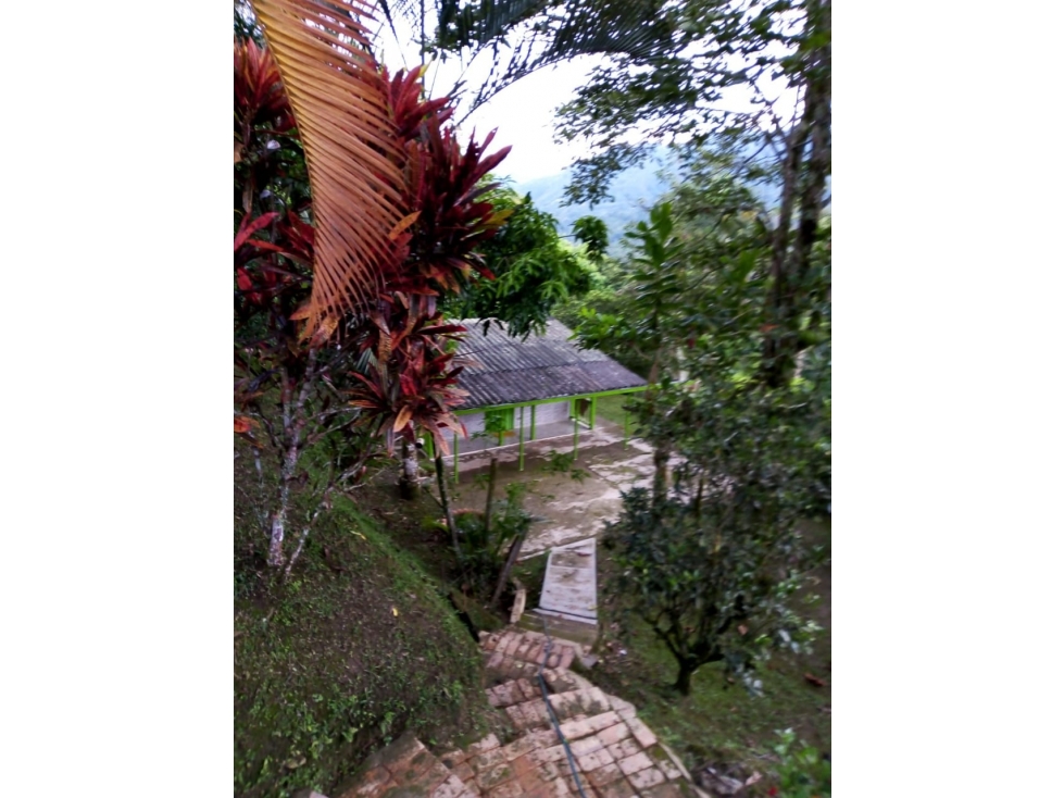 ACSI 1280. Finca en Venta en La Vega — foto 5