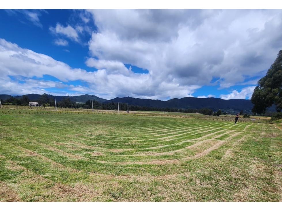 ACSI 1566. Se vende lote en Tenjo, Vereda Chince. - 4