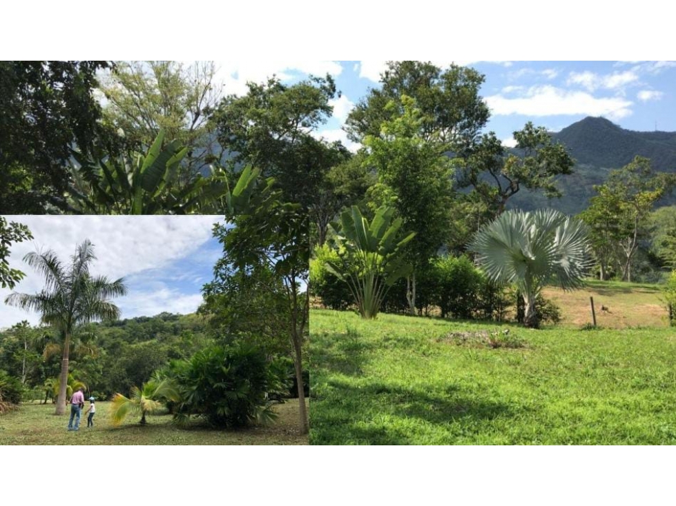 ACSI 798 Lote en venta Nimaima, Cundinamarca - 6