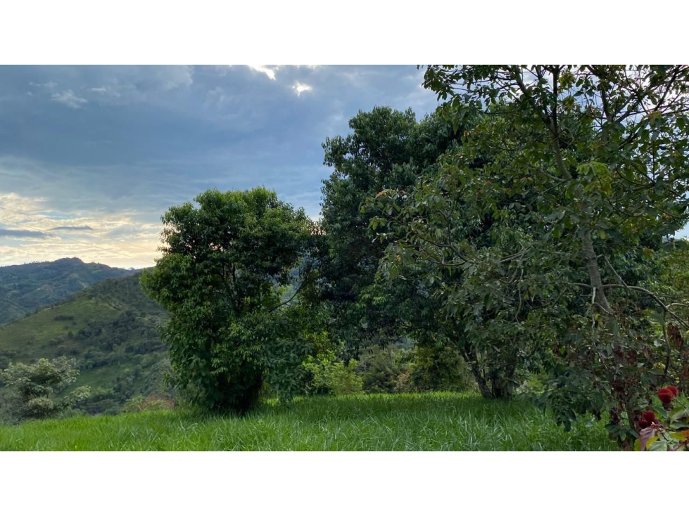 ACSI 1114 Venta de lote en Riachuelos Reserva Natural La Vega - 6