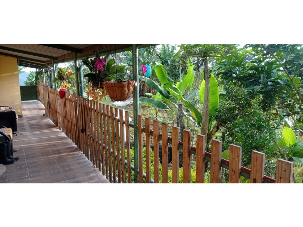 ACSI 1142. Se vende finca en Anolaima. - 6
