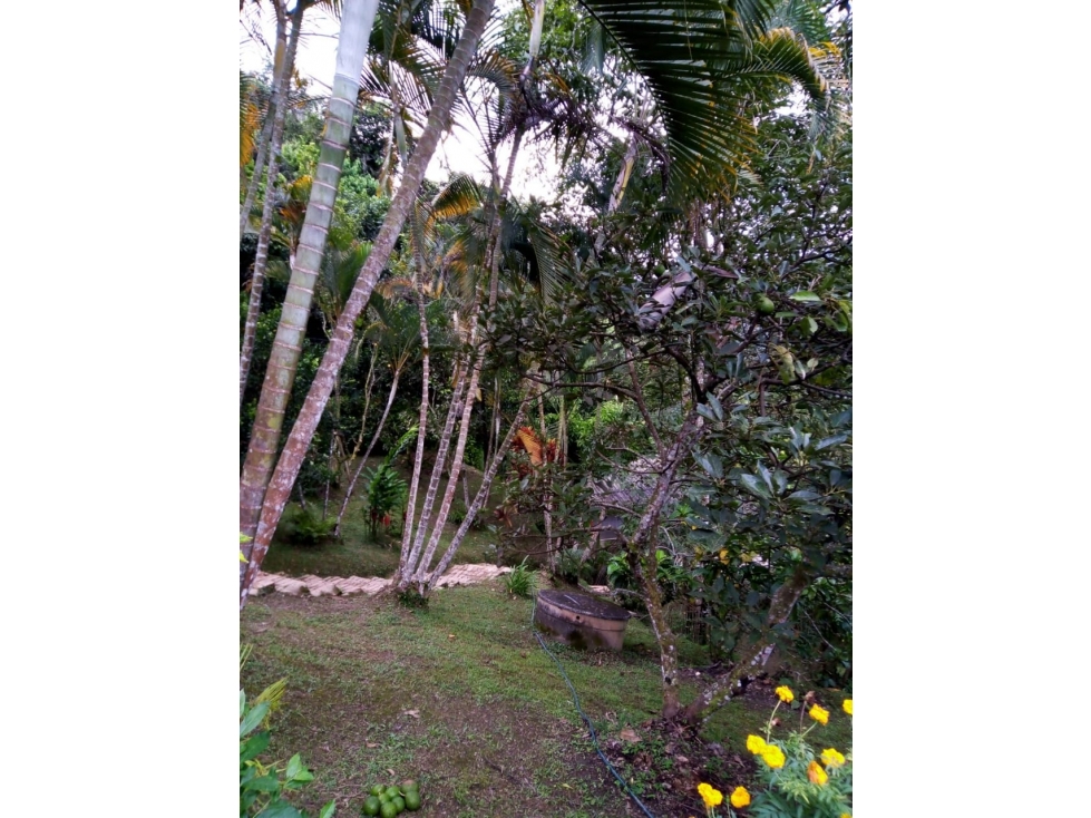 ACSI 1280. Finca en Venta en La Vega — foto 6